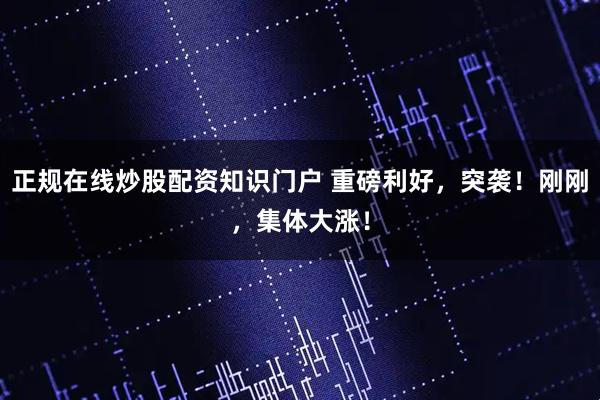 正规在线炒股配资知识门户 重磅利好，突袭！刚刚，集体大涨！