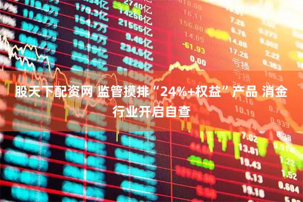 股天下配资网 监管摸排“24%+权益”产品 消金行业开启自查